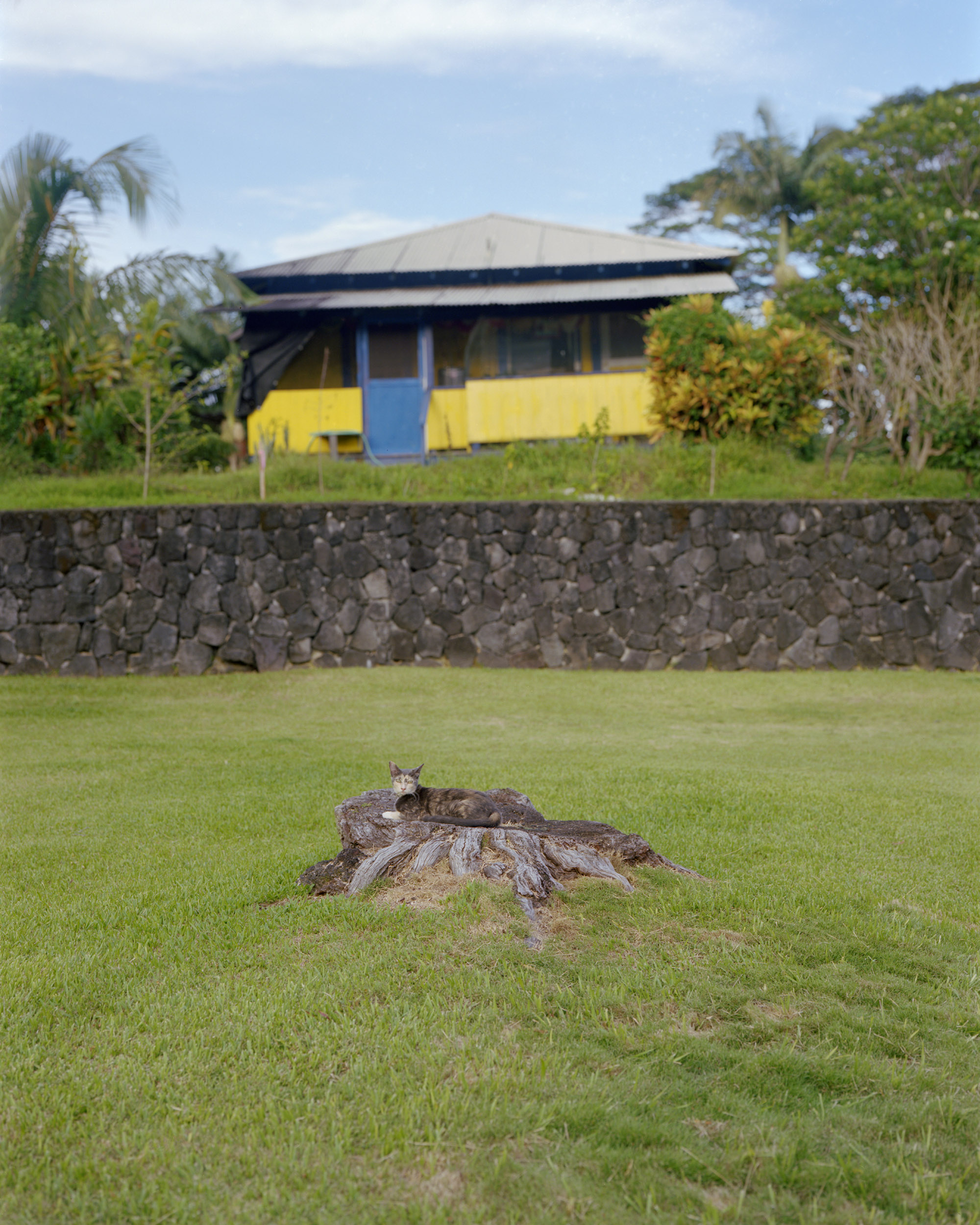 hilo