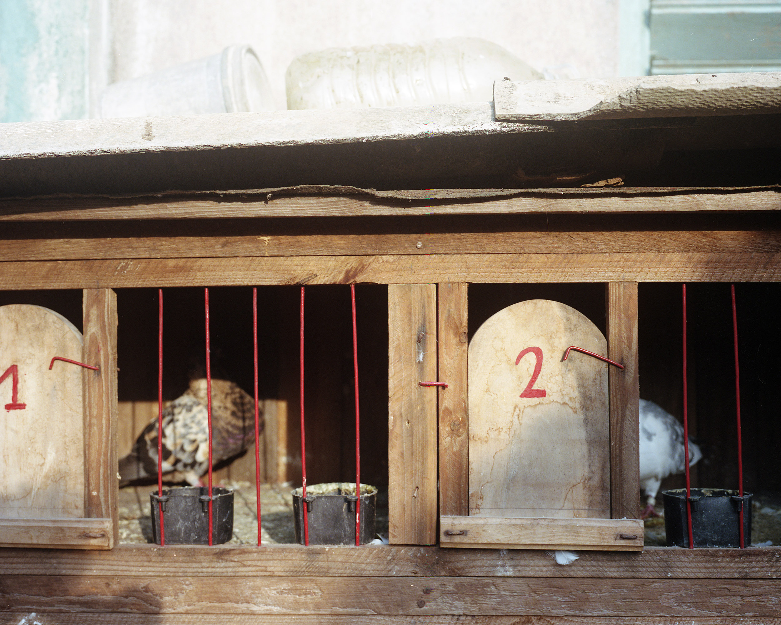 sancristobal_11